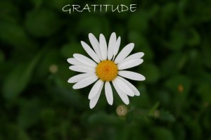 Gratitude-photo